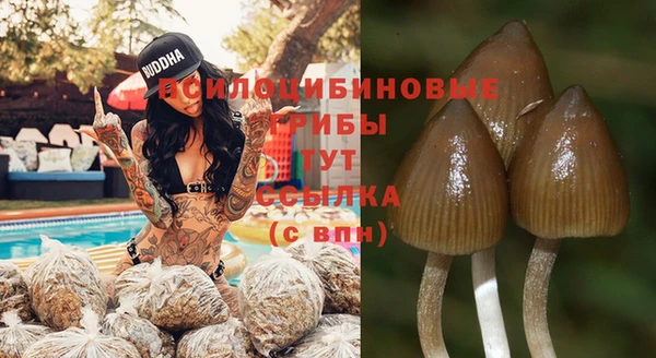 тгк Абинск