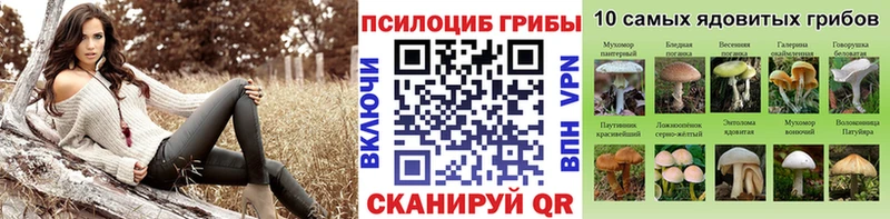 купить закладку Тутаев Псилоцибиновые грибы Psilocybine cubensis