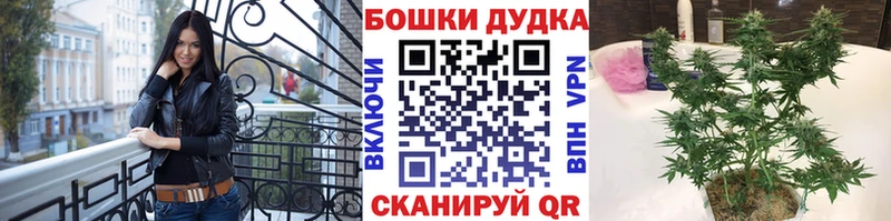 Канабис план купить наркоту Тутаев